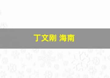 丁文刚 海南